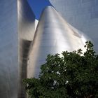 Walt Disney Concert Hall LA