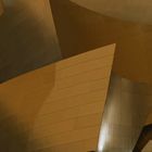 Walt Disney Concert Hall, L.A. II