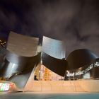 Walt Disney Concert Hall Los Angeles