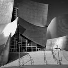 Walt Disney Concert Hall, Los Angeles