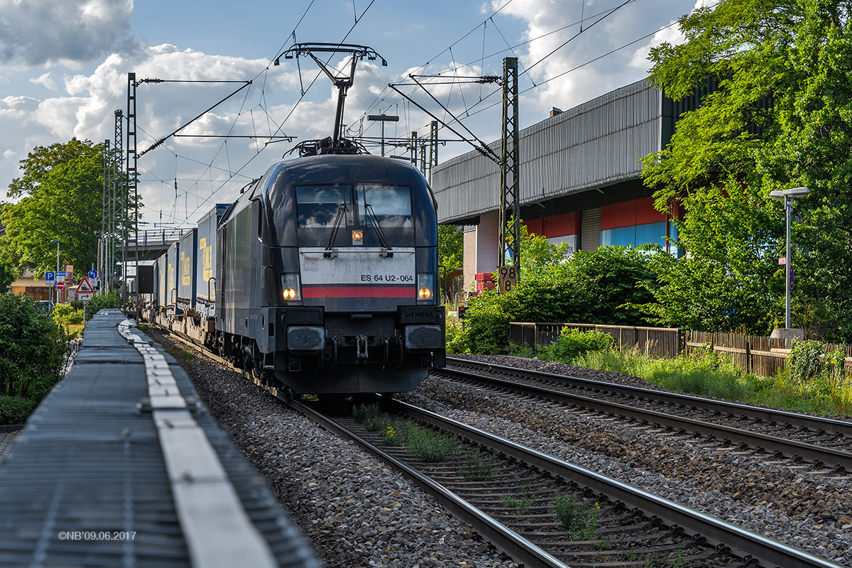 Walter Blackbull auf großer Fahrt