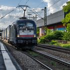 Walter Blackbull auf großer Fahrt