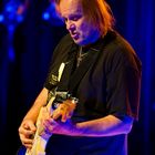 Walter Trout 02