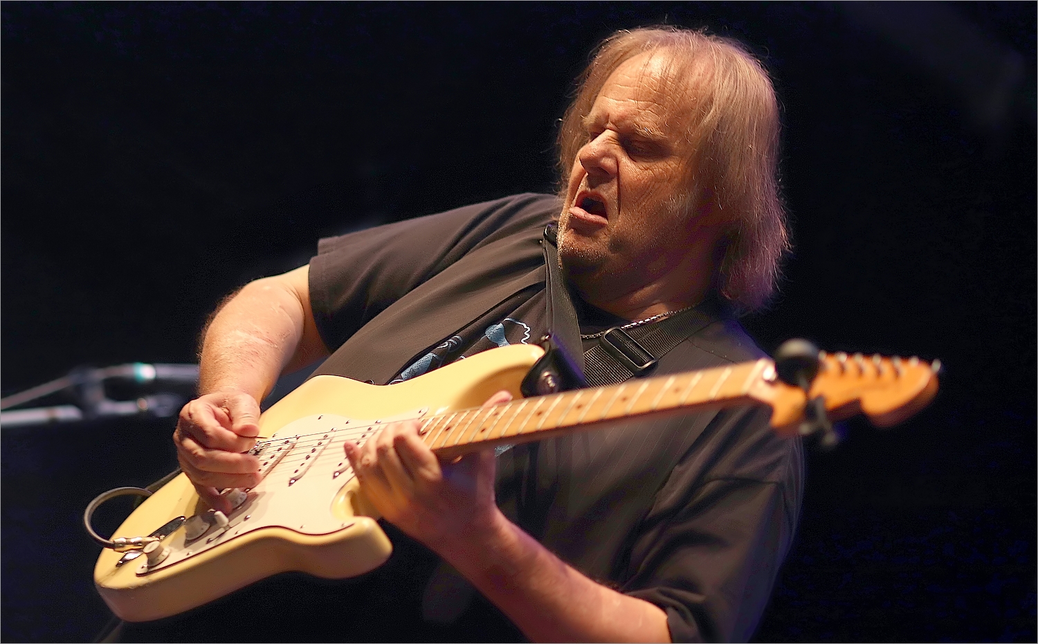 Walter Trout