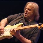 Walter Trout