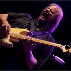 WALTER TROUT (2)