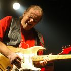 Walter Trout 3 in Dresden Tante JU