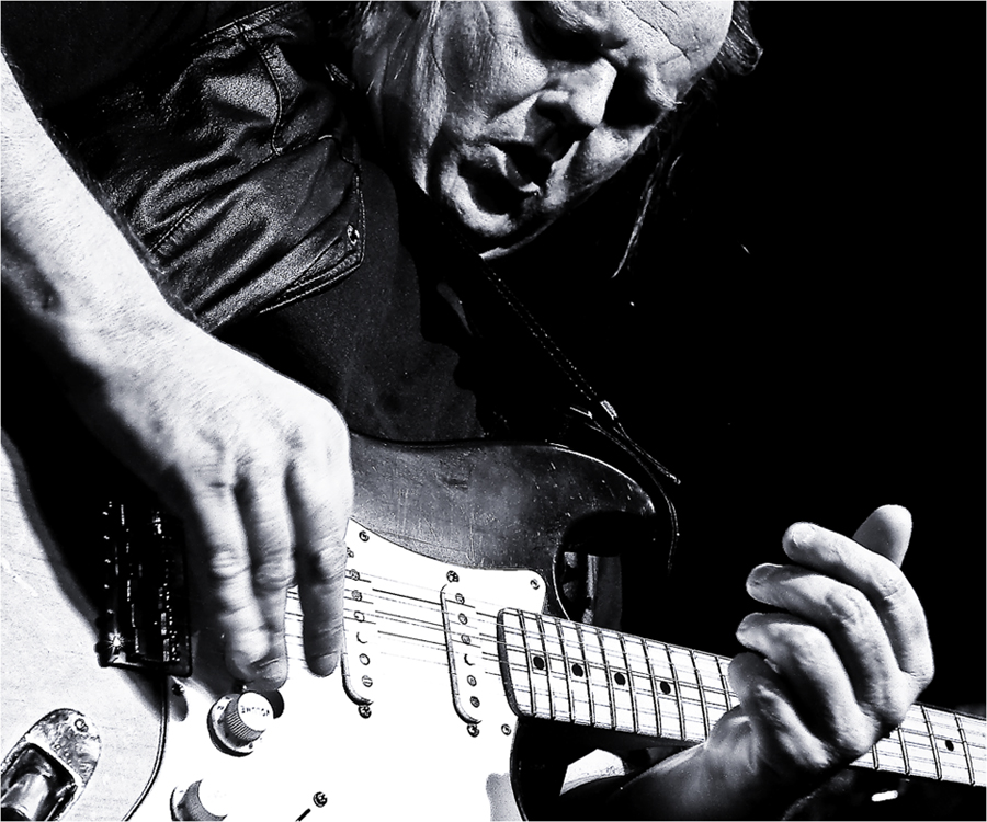 walter trout