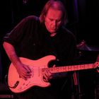 Walter Trout