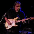 Walter Trout