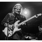 Walter Trout