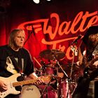 Walter Trout