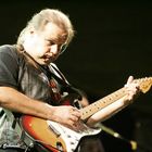 walter trout