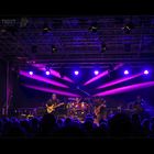 Walter Trout Live 2016