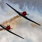 WALTER UND TONI EICHHORN - Tanusflugfest 2008