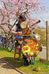 Walter vun de Palz - One Man Band