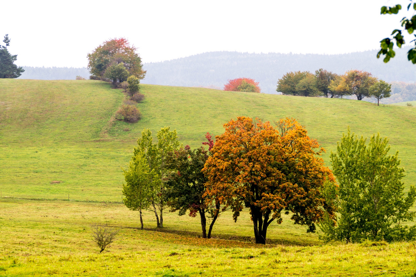 Waltershausen im Herbst