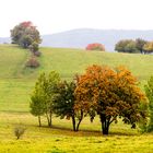 Waltershausen im Herbst