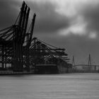 Waltershofer Hafen II b/w