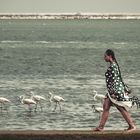 Walvis Bay (2)