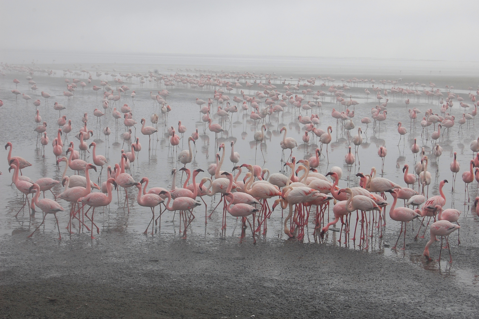 Walvis Bay 2