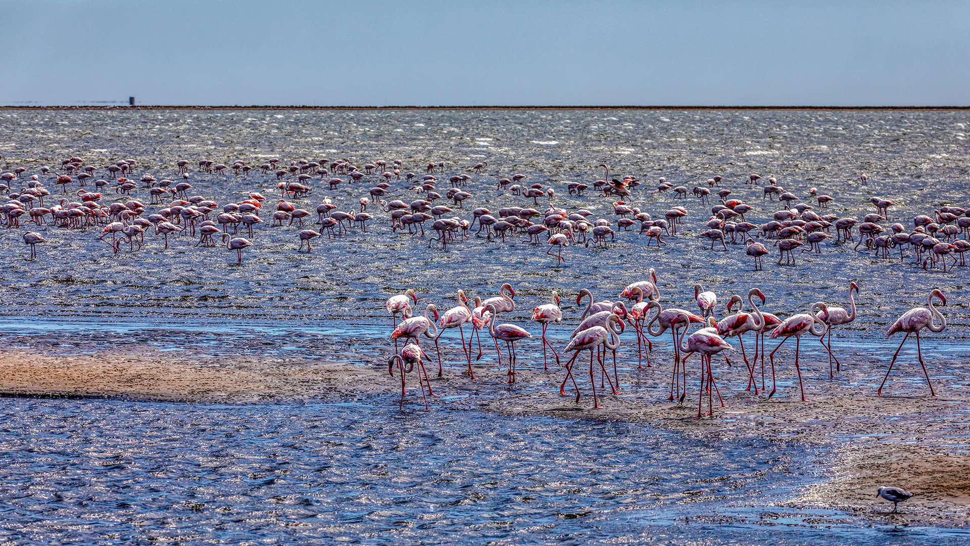 Walvis Bay (20)