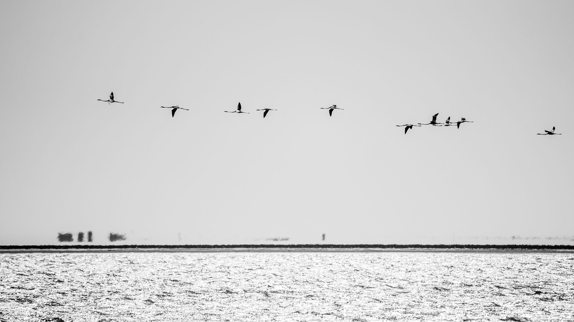 Walvis Bay (24)