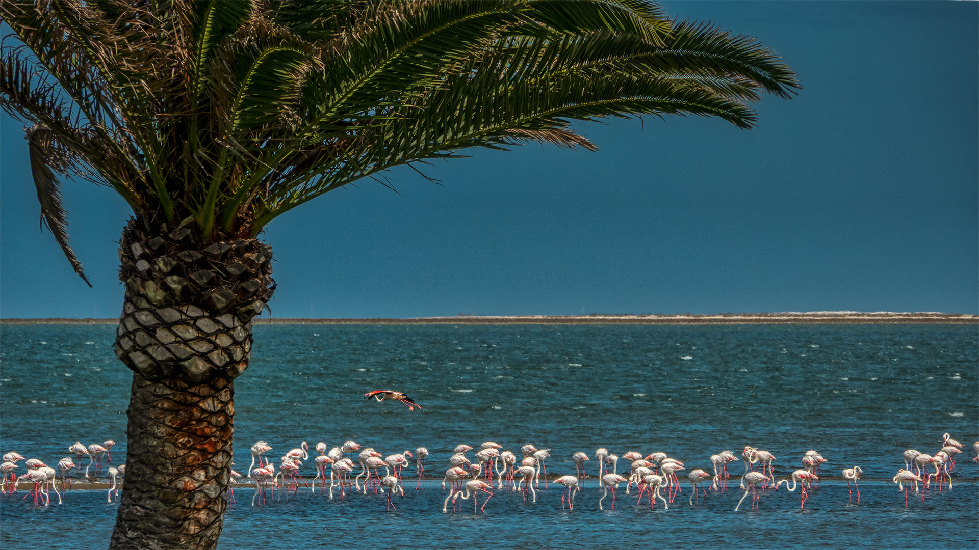 Walvis Bay (3)