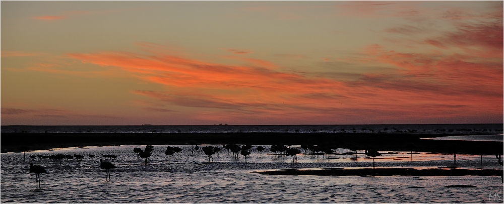 Walvis Bay