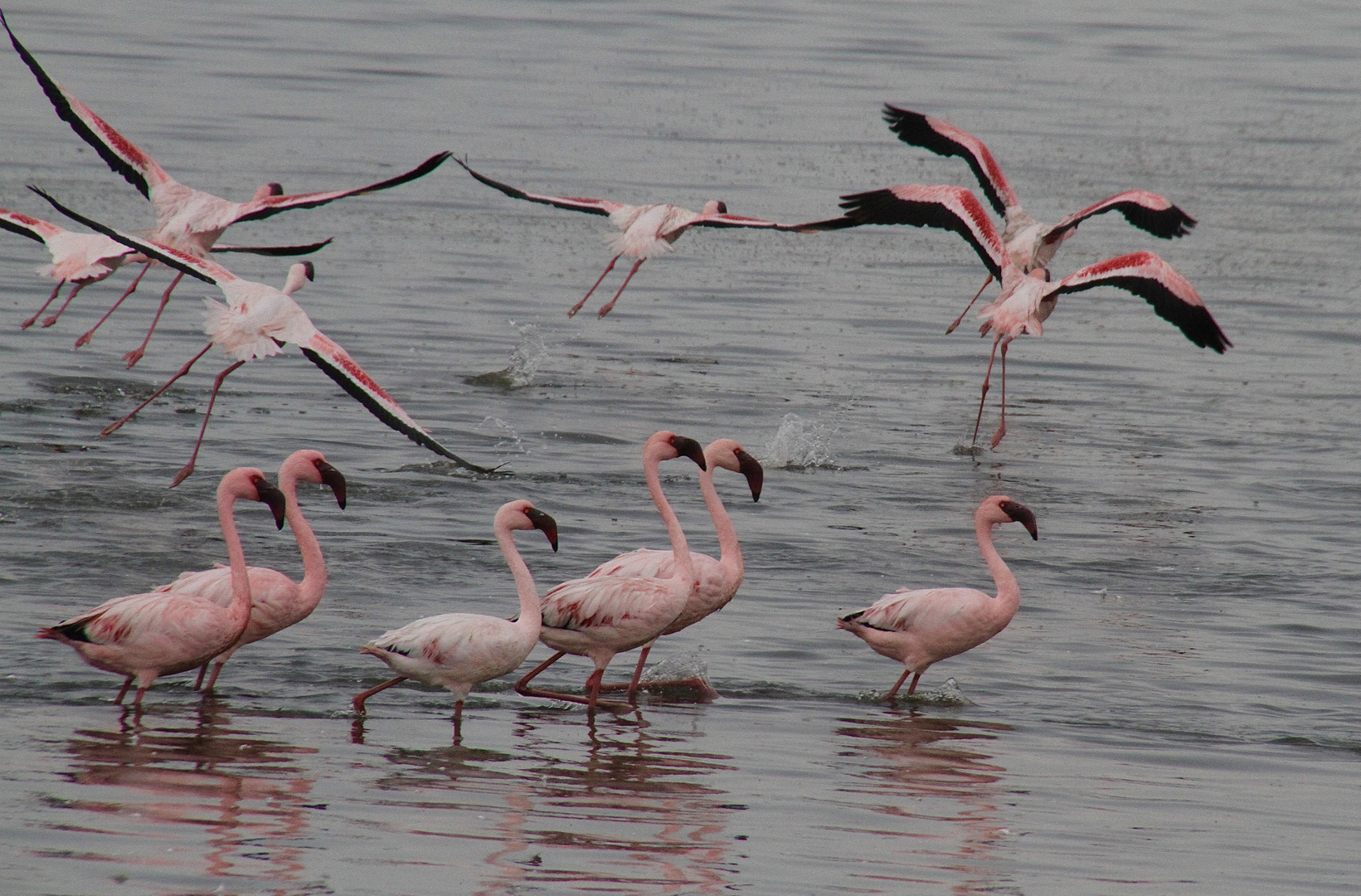 Walvis Bay