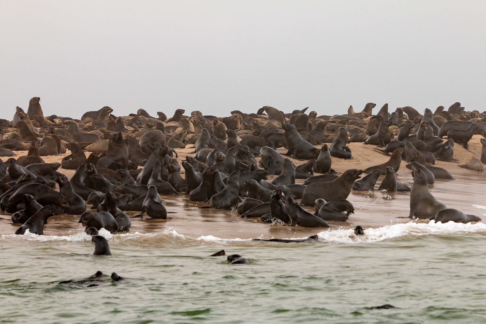 Walvis Bay