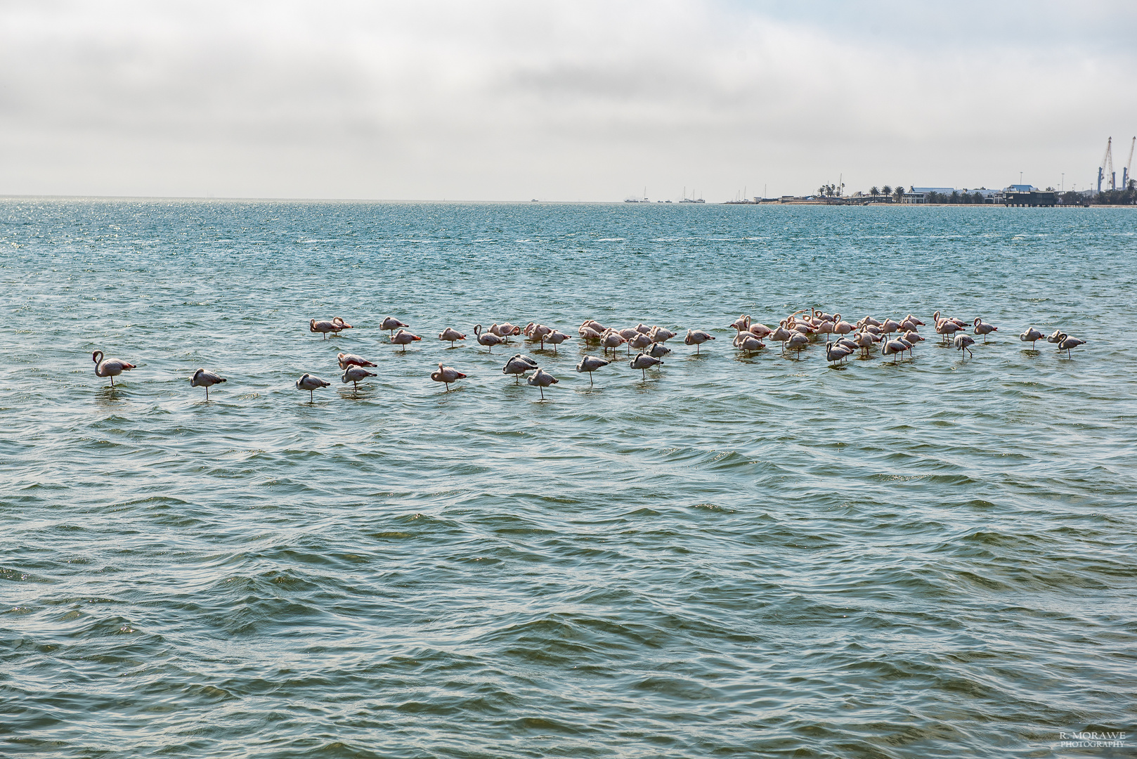 Walvis Bay