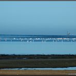 Walvis Bay Lagoon am Morgen