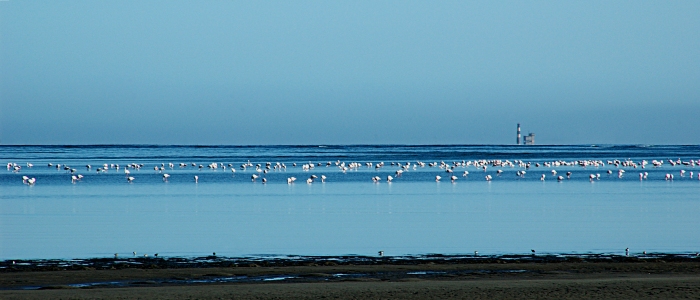 Walvis Bay Lagoon Lodge