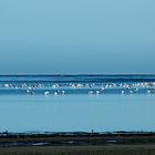 Walvis Bay Lagoon Lodge