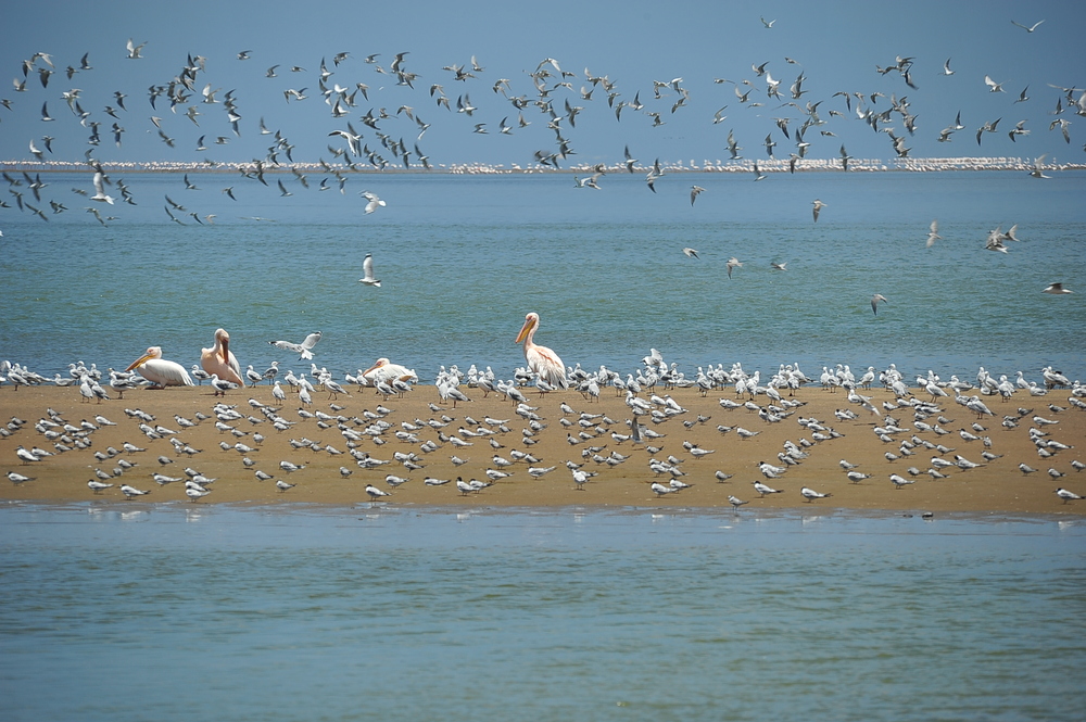 Walvis Bay Lagune