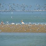 Walvis Bay Lagune