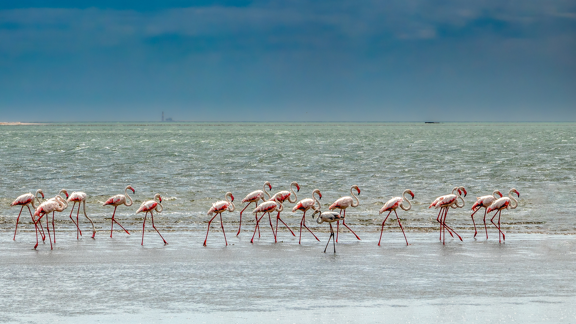 Walvis Bay, Namibia