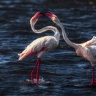 Walvis Bay, Namibia