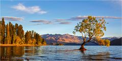 Wanaka