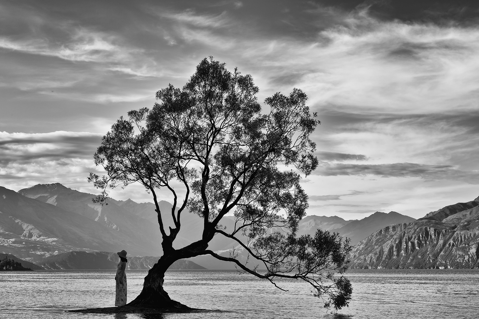 Wanaka Tree