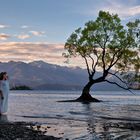 Wanaka Tree Lady