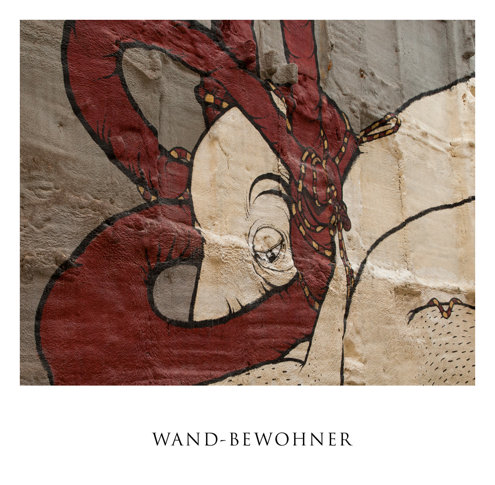 Wand-Bewohner