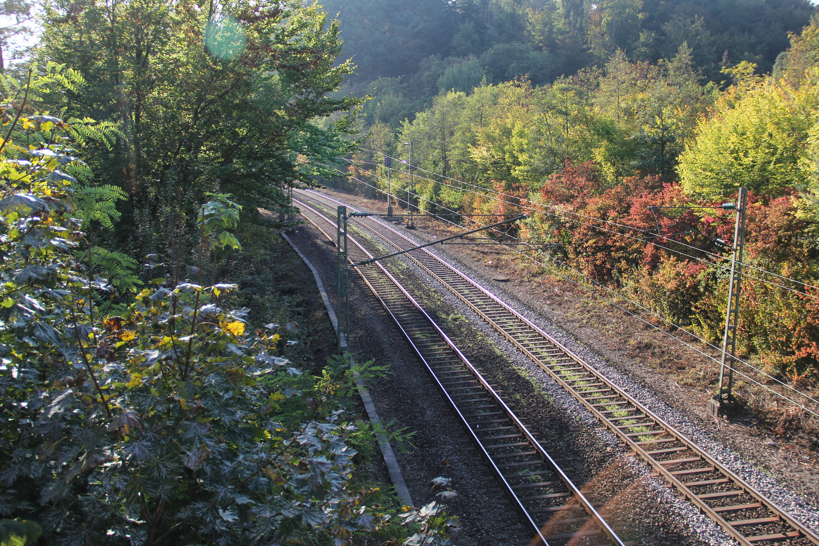 Wandel der Natur