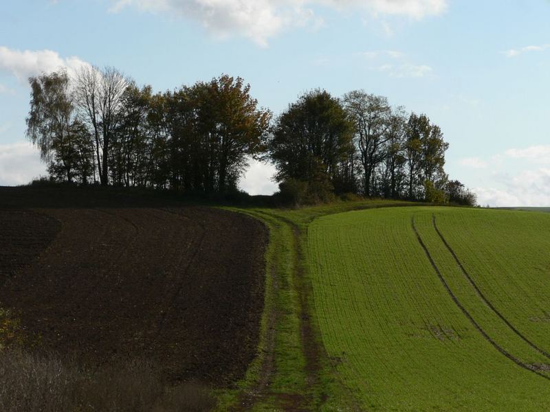 Wandel der Zeiten