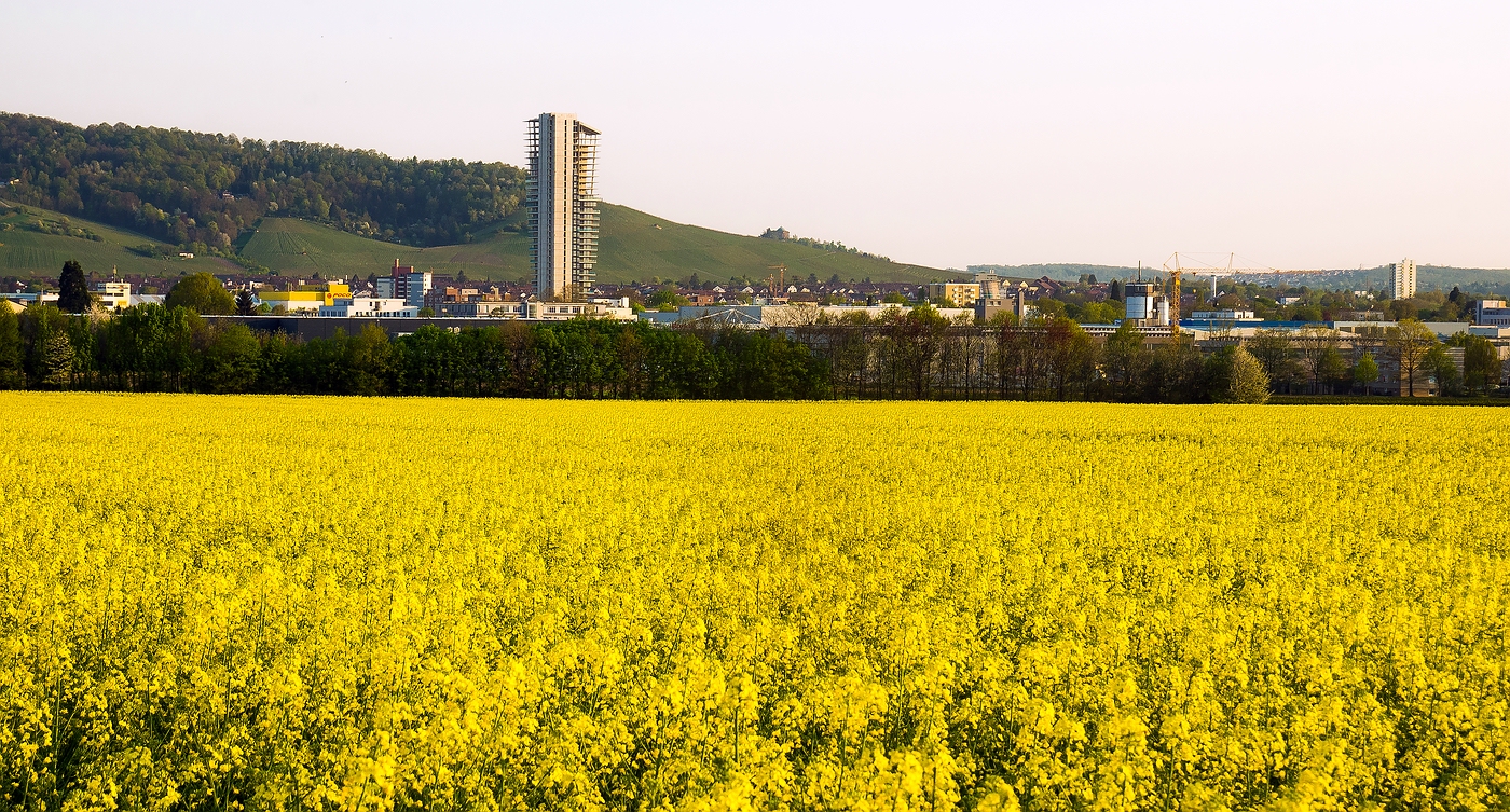 Wandel und Stillstand