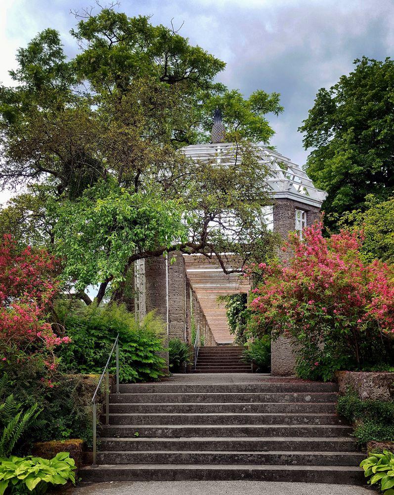 Wandelgang Botanischer Garten