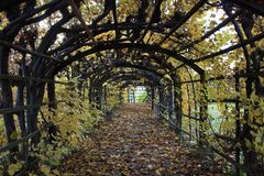 Wandelgang im Schloßpark