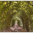 Wandelgang in Richtung Altes Schloss