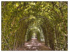 Wandelgang in Richtung Altes Schloss